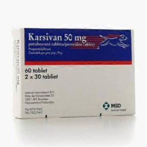 Karsivan - tabletta idősödő kutyának - 60 db